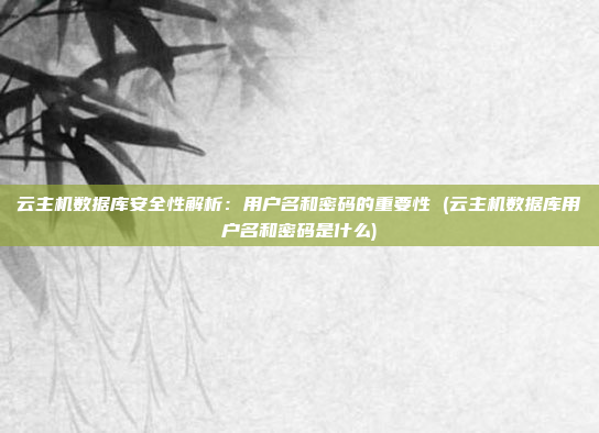 云主机数据库安全性解析:用户名和密码的重要性 (云主机数据库用户名和密码是什么)