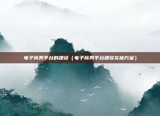 电子商务平台的建设(电子商务平台建设实施方案)