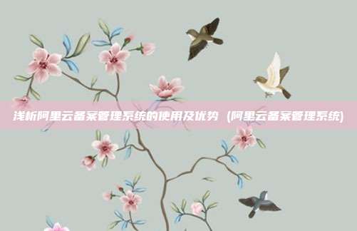浅析阿里云备案管理系统的使用及优势 (阿里云备案管理系统)