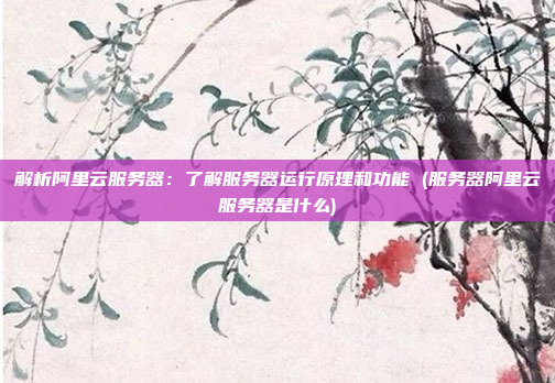 解析阿里云服务器：了解服务器运行原理和功能 (服务器阿里云服务器是什么)