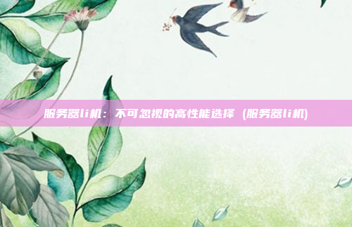 服务器li机：不可忽视的高性能选择 (服务器li机)