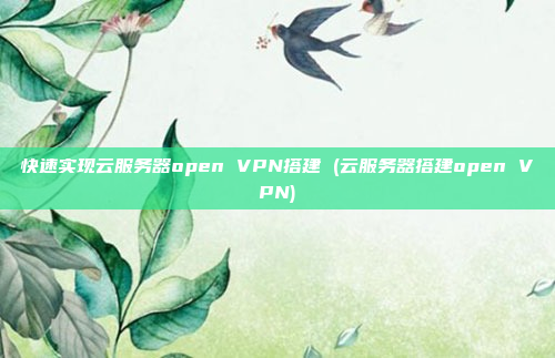 快速实现云服务器open VPN搭建 (云服务器搭建open VPN)