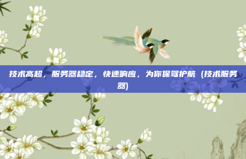 技术高超,服务器稳定,快速响应,为你保驾护航 (技术服务器)