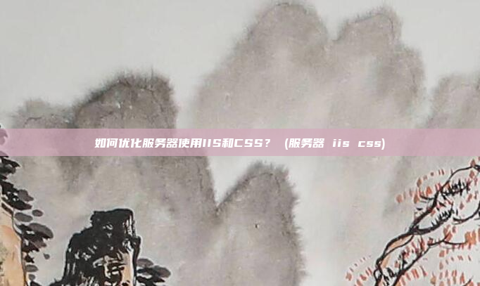 如何优化服务器使用IIS和CSS？ (服务器 iis css)