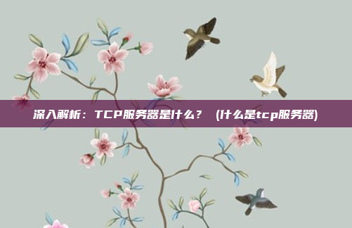 深入解析：TCP服务器是什么？ (什么是tcp服务器)