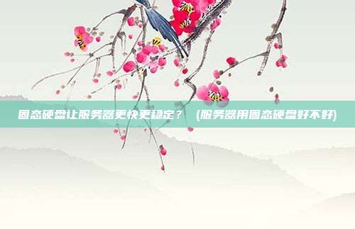 固态硬盘让服务器更快更稳定? (服务器用固态硬盘好不好)