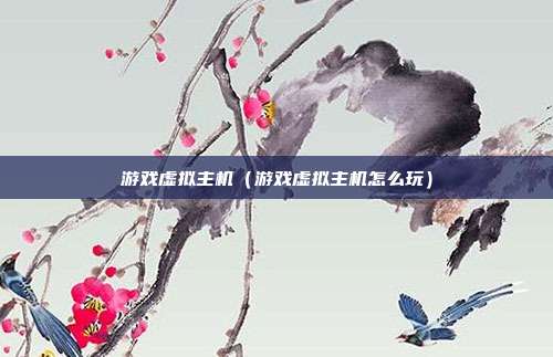 游戏虚拟主机（游戏虚拟主机怎么玩）