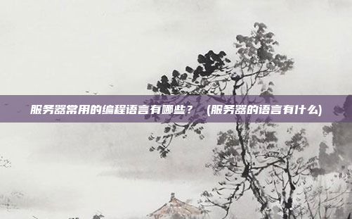 服务器常用的编程语言有哪些? (服务器的语言有什么)