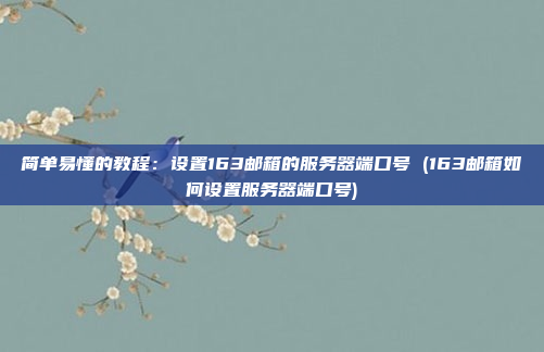 简单易懂的教程:设置163邮箱的服务器端口号 (163邮箱如何设置服务器端口号)