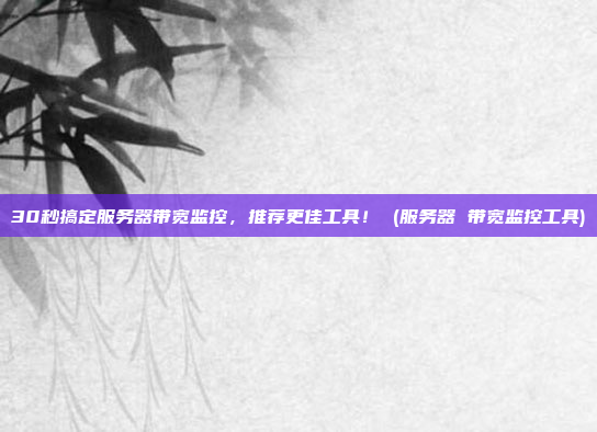 30秒搞定服务器带宽监控,推荐更佳工具! (服务器 带宽监控工具)