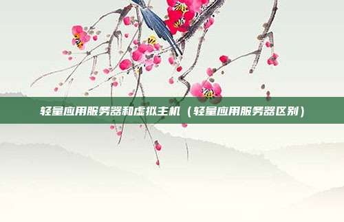 轻量应用服务器和虚拟主机(轻量应用服务器区别)