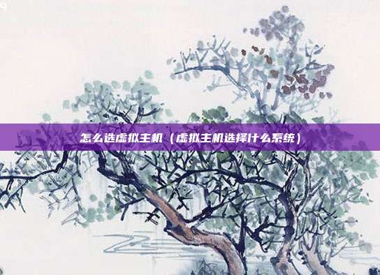 怎么选虚拟主机（虚拟主机选择什么系统）
