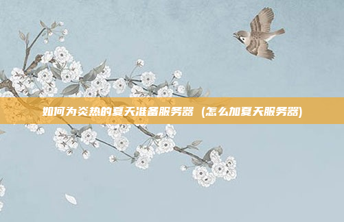 如何为炎热的夏天准备服务器 (怎么加夏天服务器)
