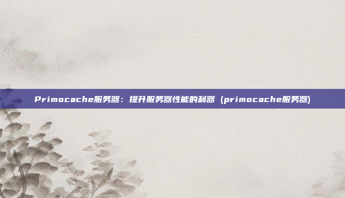 Primocache服务器:提升服务器性能的利器 (primocache服务器)
