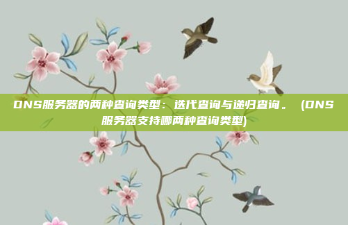 DNS服务器的两种查询类型：迭代查询与递归查询。 (DNS服务器支持哪两种查询类型)