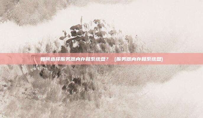 如何选择服务器内存和系统盘？ (服务器内存和系统盘)