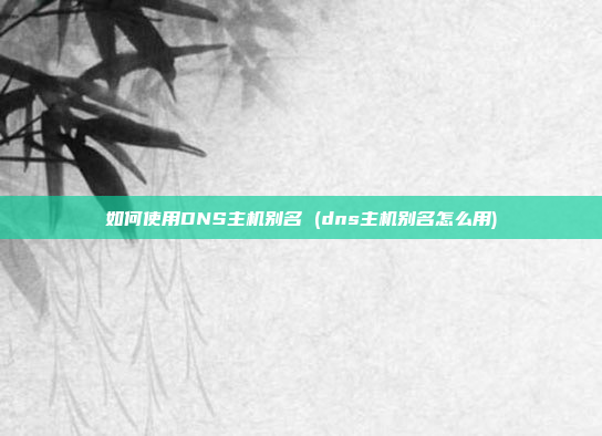 如何使用DNS主机别名 (dns主机别名怎么用)