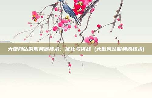 大型网站的服务器技术:优化与挑战 (大型网站服务器技术)