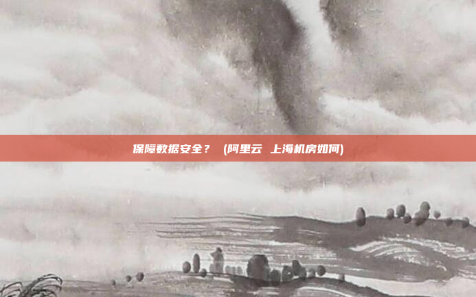 保障数据安全? (阿里云 上海机房如何)