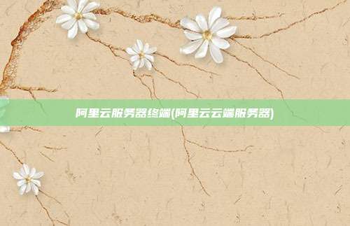 阿里云服务器终端(阿里云云端服务器)
