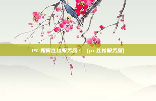 PC如何连接服务器? (pc连接服务器)