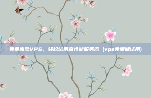 免费体验VPS,轻松试用高性能服务器 (vps免费版试用)