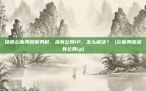 提供云服务器服务时,没有公网IP,怎么解决? (云服务器没有公网ip)