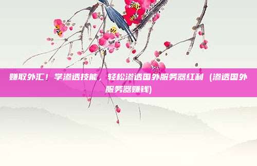 赚取外汇！学渗透技能，轻松渗透国外服务器红利 (渗透国外服务器赚钱)