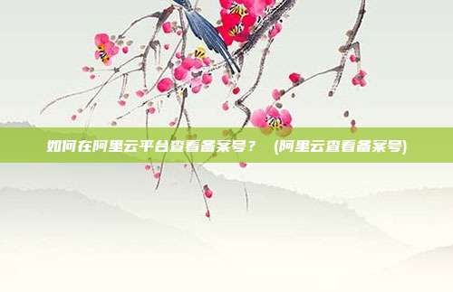 如何在阿里云平台查看备案号? (阿里云查看备案号)