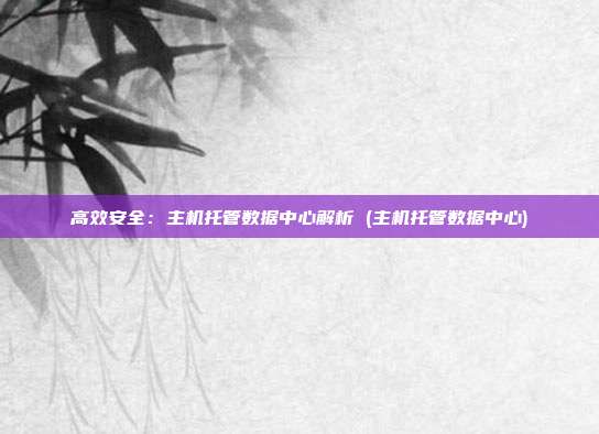 高效安全：主机托管数据中心解析 (主机托管数据中心)
