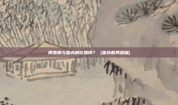 用费用与国内相比如何？ (国外服务器租)