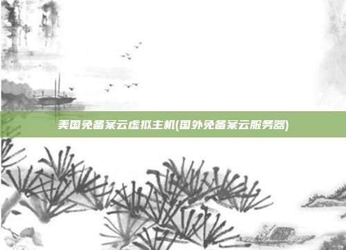 美国免备案云虚拟主机(国外免备案云服务器)