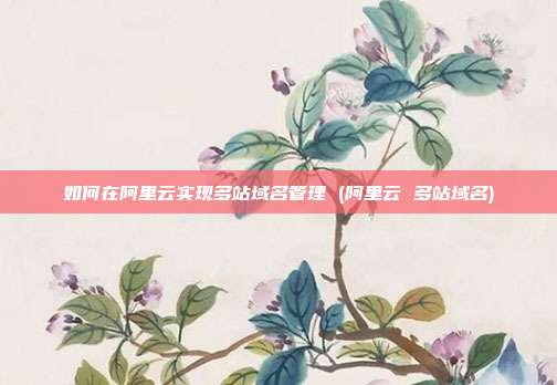 如何在阿里云实现多站域名管理 (阿里云 多站域名)