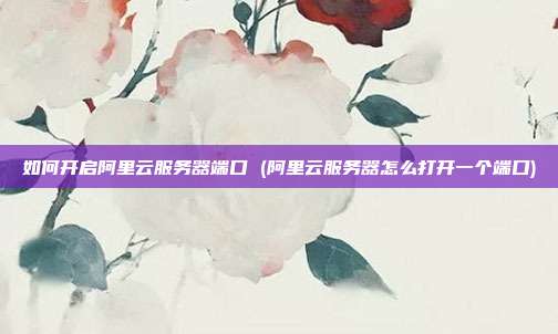 如何开启阿里云服务器端口 (阿里云服务器怎么打开一个端口)