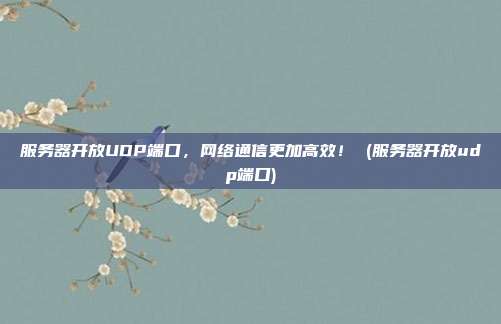 服务器开放UDP端口,网络通信更加高效! (服务器开放udp端口)