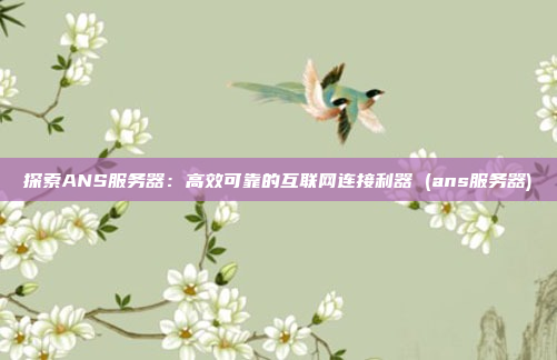 探索ANS服务器:高效可靠的互联网连接利器 (ans服务器)