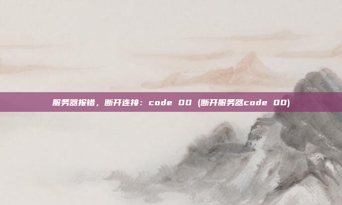 服务器报错，断开连接：code 00 (断开服务器code 00)