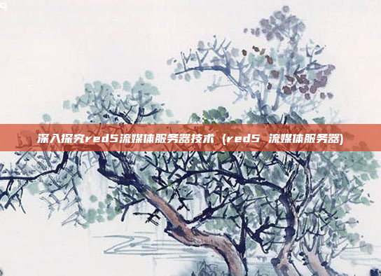 深入探究red5流媒体服务器技术 (red5 流媒体服务器)