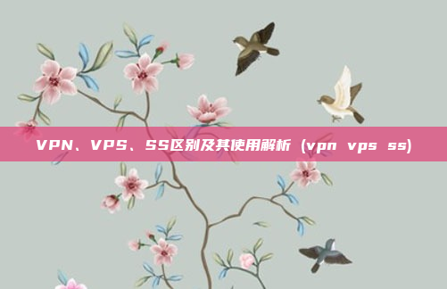 VPN、VPS、SS区别及其使用解析 (vpn vps ss)