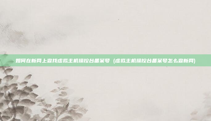 如何在新网上查找虚拟主机操控台备案号 (虚拟主机操控台备案号怎么查新网)