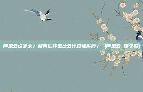 阿里云选哪家?如何选择更佳云计算提供商? (阿里云 哪个好)