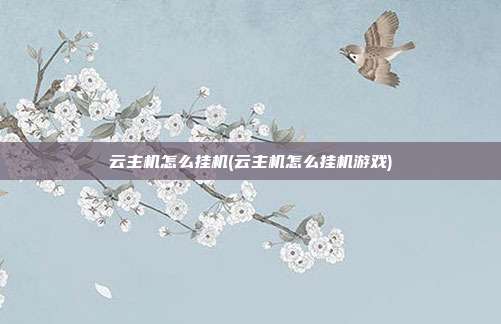 云主机怎么挂机(云主机怎么挂机游戏)
