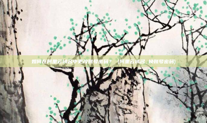 如何在阿里云域名中更改账号密码? (阿里云域名 换账号密码)
