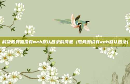 解决服务器没有web默认目录的问题 (服务器没有web默认目录)