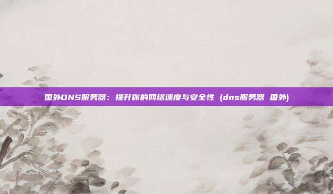 国外DNS服务器:提升你的网络速度与安全性 (dns服务器 国外)