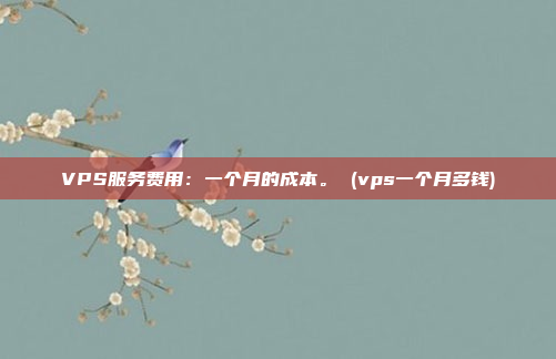 VPS服务费用：一个月的成本。 (vps一个月多钱)