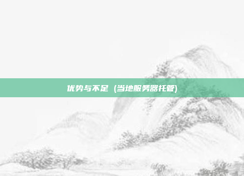 优势与不足 (当地服务器托管)