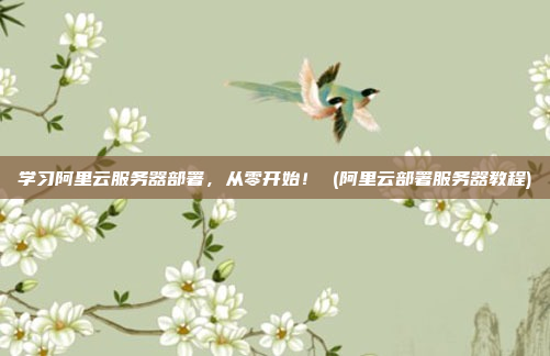 学习阿里云服务器部署，从零开始！ (阿里云部署服务器教程)