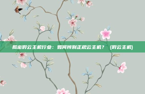 揭密假云主机行业:如何辨别正规云主机? (假云主机)