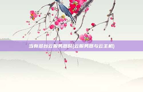 当有多台云服务器时(云服务器与云主机)